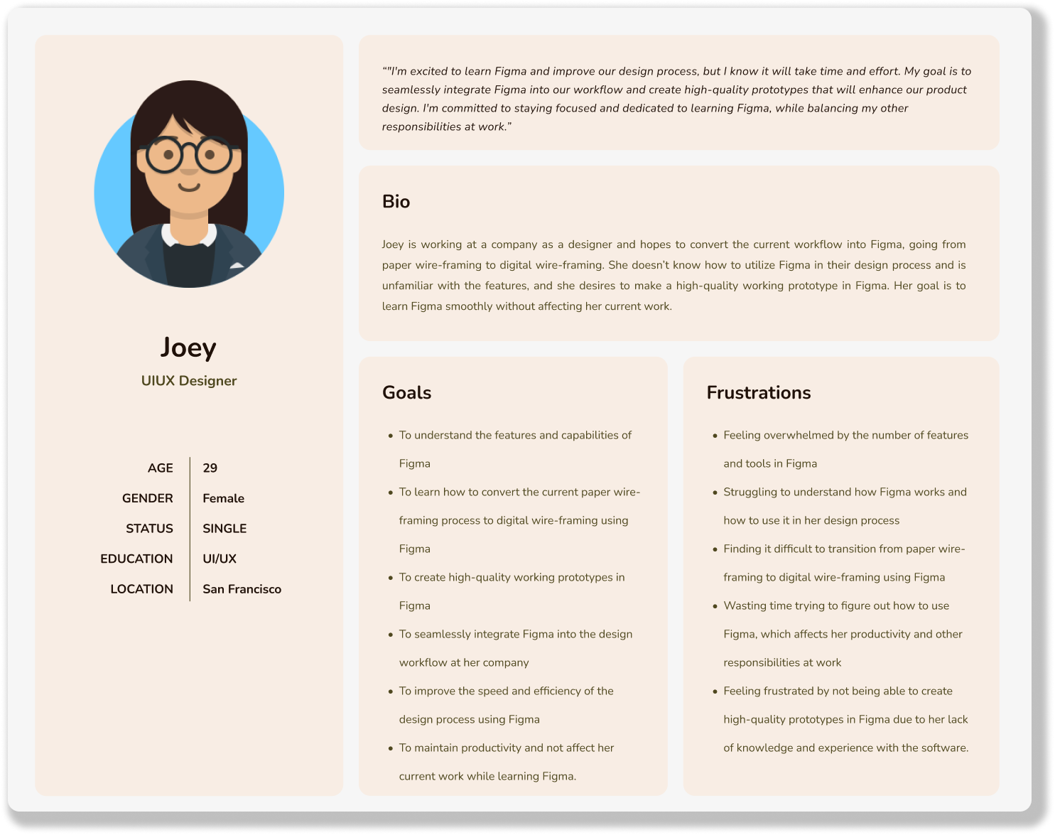 A user persona for the project
